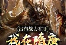 小说《吕布战力在手，我在隋唐杀疯了》章节免费阅读-贝壳文学