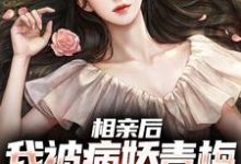 相亲后,我被病娇青梅强势占有小说无弹窗阅读的网站推荐-贝壳文学