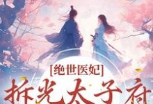 绝世医妃，拆光太子府嫁摄政王免费阅读，绝世医妃，拆光太子府嫁摄政王章节在线阅读-贝壳文学