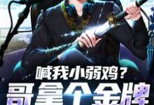 喊我小弱鸡?哥拿个金牌你就老实了林贺南林海小说完结版章节在线阅读-贝壳文学