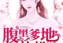 苏锦如沈延风夏莎齐森小说在线章节免费阅读（妈咪胖胖，腹黑爹地快投降无弹窗无删减）-贝壳文学