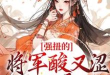 强扭的将军酸又涩，她不要了！小说，强扭的将军酸又涩，她不要了！冷意欢夜澜清-贝壳文学