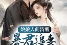 娘娘人间清醒，暴君追妻火葬场孟棠褚奕小说免费阅读-贝壳文学