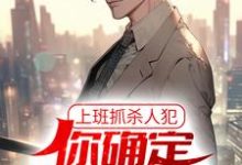 小说《上班抓杀人犯，你确定他是交警？》在线章节阅读-贝壳文学