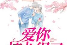 哪里可以免费找到爱你情非得已？-贝壳文学
