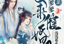 在线寻找娘亲，王爷爹爹又来催婚啦小说的无删减版本-贝壳文学