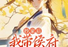 霍长安桑宁小说抄家后，我带侯府发家致富在线阅读章节-贝壳文学