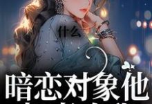 什么！暗恋对象他叔喜欢我小说全文哪里可以免费看？-贝壳文学