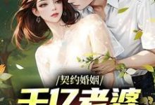 完结版《契约婚姻：千亿老婆太撩人》章节阅读-贝壳文学