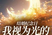 在线免费阅读结婚纪念日,我视为光的老公出轨了完整小说-贝壳文学