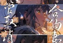 完结版《试管取消后离婚,合约妻子哭惨了》免费阅读-贝壳文学