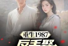 哪里能找到重生1987，反手娶小姨子真香小说的全部章节？-贝壳文学