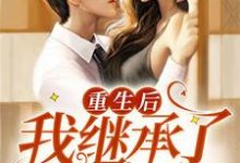 求重生后我继承了百亿遗产小说免费资源-贝壳文学