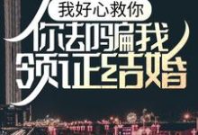 《我好心救你，你却骗我领证结婚？》小说大结局免费试读 向风柳如云小说-贝壳文学