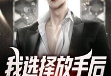 小说《我选择放手后，校花后悔了》在线章节阅读-贝壳文学