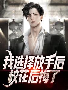 小说《我选择放手后，校花后悔了》在线章节阅读