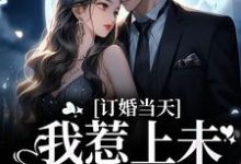订婚当天，我惹上未婚夫小叔小说的免费阅读版本在哪里可以找到？-贝壳文学