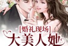 婚礼现场,大美人她喜提绿帽这本小说完结了吗?免费查看最新章节-贝壳文学