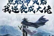 完结版《辅助角色:点燃命火后我逆袭成大佬》章节阅读-贝壳文学