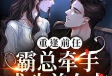 陆星辰厉臻小说重逢前任:霸总牵手成功前女友章节免费阅读-贝壳文学