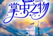 他的掌中之物这本小说完结了吗?免费查看最新章节-贝壳文学