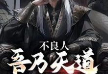 不良人：吾乃天道，不可忤逆小说，不良人：吾乃天道，不可忤逆免费阅读-贝壳文学