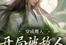 穿成鹰人，开局被敌人追着打小说的免费电子版在哪里可以下载或阅读？-贝壳文学