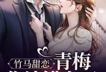《竹马甜恋：青梅，你认错人了！》小说章节章节免费在线阅读-贝壳文学