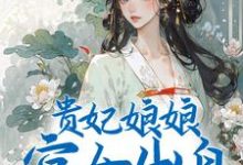 贵妃娘娘宫女出身，皇上偏宠着小说最新章节在哪里可以读到？-贝壳文学
