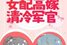 完结版《军婚撩人:倒霉女配高嫁清冷军官》免费阅读-贝壳文学