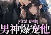 求撩爆！痞帅男神爆宠他的小甜妻小说的全文免费阅读链接-贝壳文学