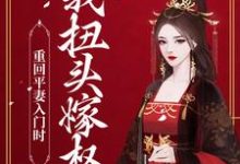 哪里能找到重回平妻入门时,我扭头嫁权王小说的全部章节?-贝壳文学