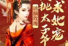 小说《诱摘玫瑰，疯批太子爷求她宠》章节免费阅读-贝壳文学