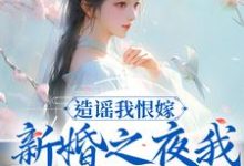 造谣我恨嫁？新婚之夜我火烧你府院小说阅读，造谣我恨嫁？新婚之夜我火烧你府院完结版-贝壳文学