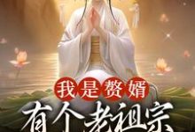 我是赘婿，有个老祖宗娘子很合理吧小说的无弹窗阅读体验，寻找免费阅读网站-贝壳文学