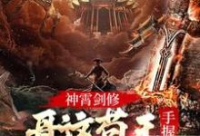 求神霄剑修：哥这苟王手握七剑成最强小说的全文免费阅读链接-贝壳文学