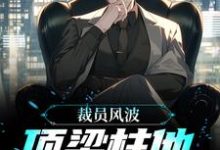 哪里可以免费找到裁员风波：顶梁柱他创业成功了？-贝壳文学