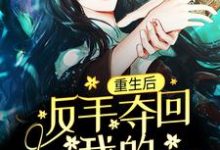 小说《重生后，反手夺回我的贵人命格》章节阅读-贝壳文学
