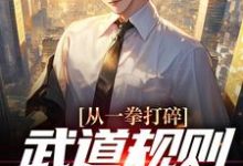 小说《从一拳打碎武道规则开始无敌》章节阅读-贝壳文学