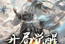 韩硕小说叫什么（重生后，开局觉醒氪命系统免费阅读）-贝壳文学