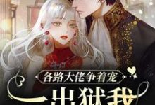 在线免费阅读各路大佬争着宠？一出狱我成团宠完整小说-贝壳文学