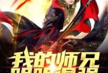 我的师兄明明很强，却过分较真！小说全文哪里可以免费看？-贝壳文学