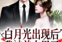 白月光出现后，我被前夫甩了 姜稚沈卿尘小说免费阅读-贝壳文学