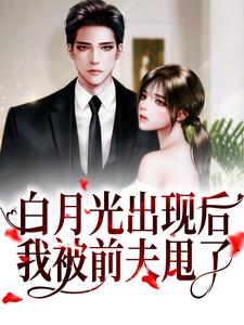 白月光出现后，我被前夫甩了 姜稚沈卿尘小说免费阅读