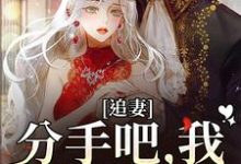 完结版《追妻：分手吧，我不哄你了》章节目录在线阅读-贝壳文学