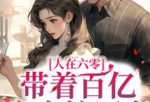 沈明珠顾奕铭小说完结版在线阅读，人在六零：带着百亿家产嫁军官免费看-贝壳文学