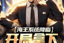 小说《海王系统降临,开局拿下千亿豪宅》在线章节阅读-贝壳文学