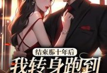 结束那十年后，我转身跑到霸总身旁小说，结束那十年后，我转身跑到霸总身旁免费阅读-贝壳文学