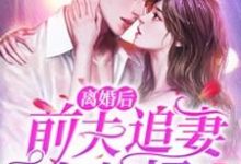 小说《离婚后，前夫追妻火葬场》章节免费阅读-贝壳文学