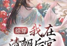 综穿:我在清朝后宫当娘娘小说的无弹窗阅读体验,寻找免费阅读网站-贝壳文学